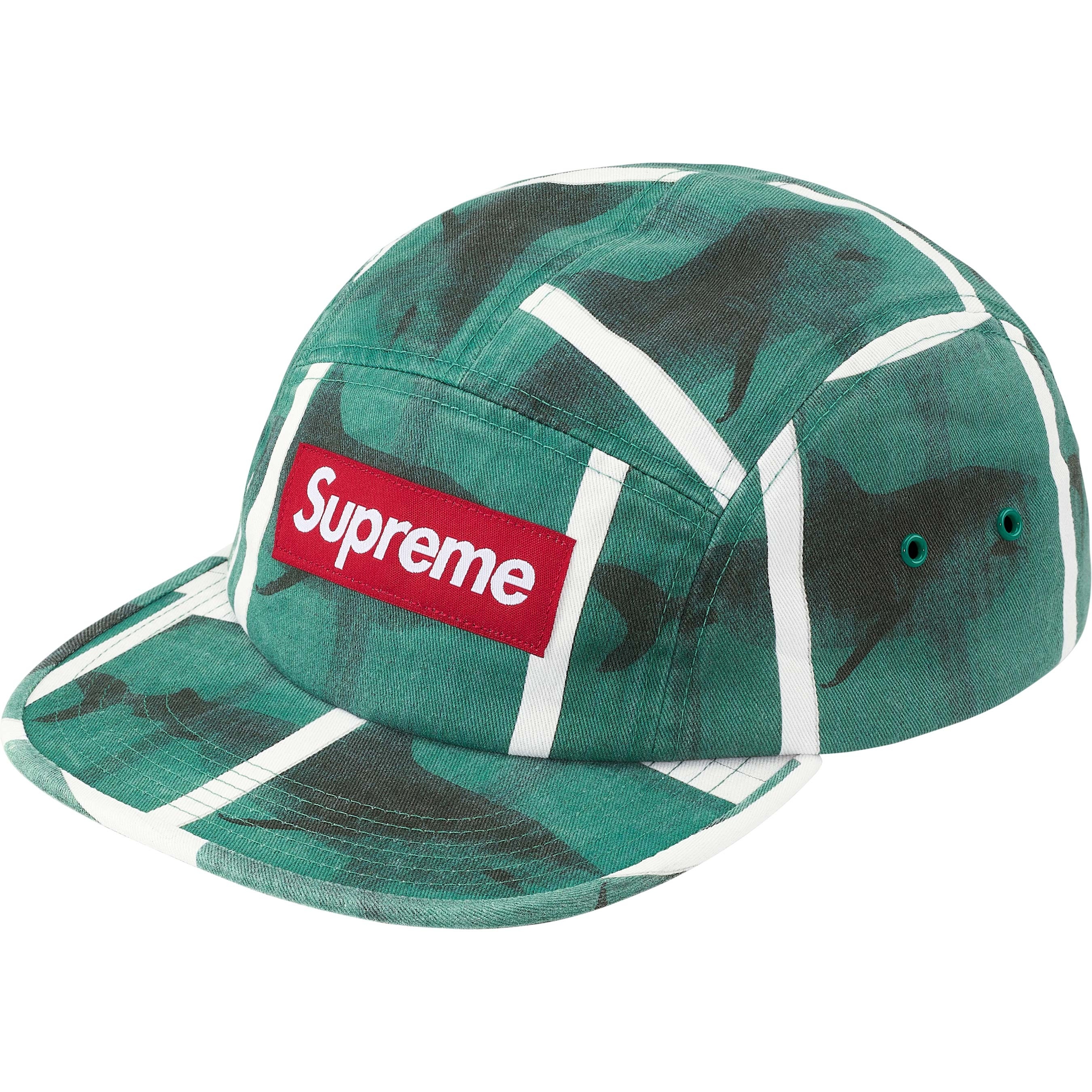 Supreme/Damien Hirst Camp Cap view 2
